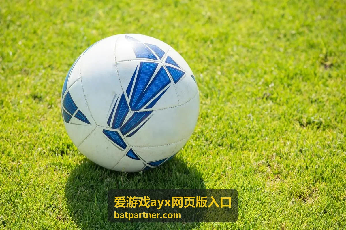 爱游戏ayx网页版入口账户设置模块选项示意图