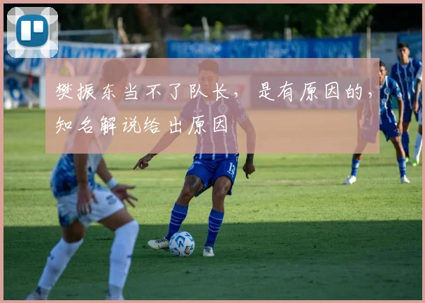 樊振东当不了队长，是有原因的，知名解说给出原因