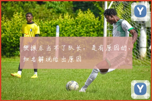 樊振东当不了队长，是有原因的，知名解说给出原因