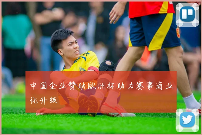 中国企业赞助欧洲杯助力赛事商业化升级